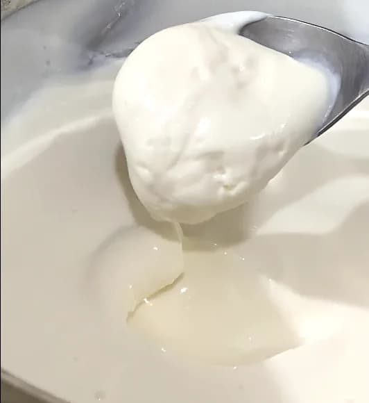 A spoonful of Berde's yogurt lifted from the batch, thick enough to hold its shape as it slowly falls.